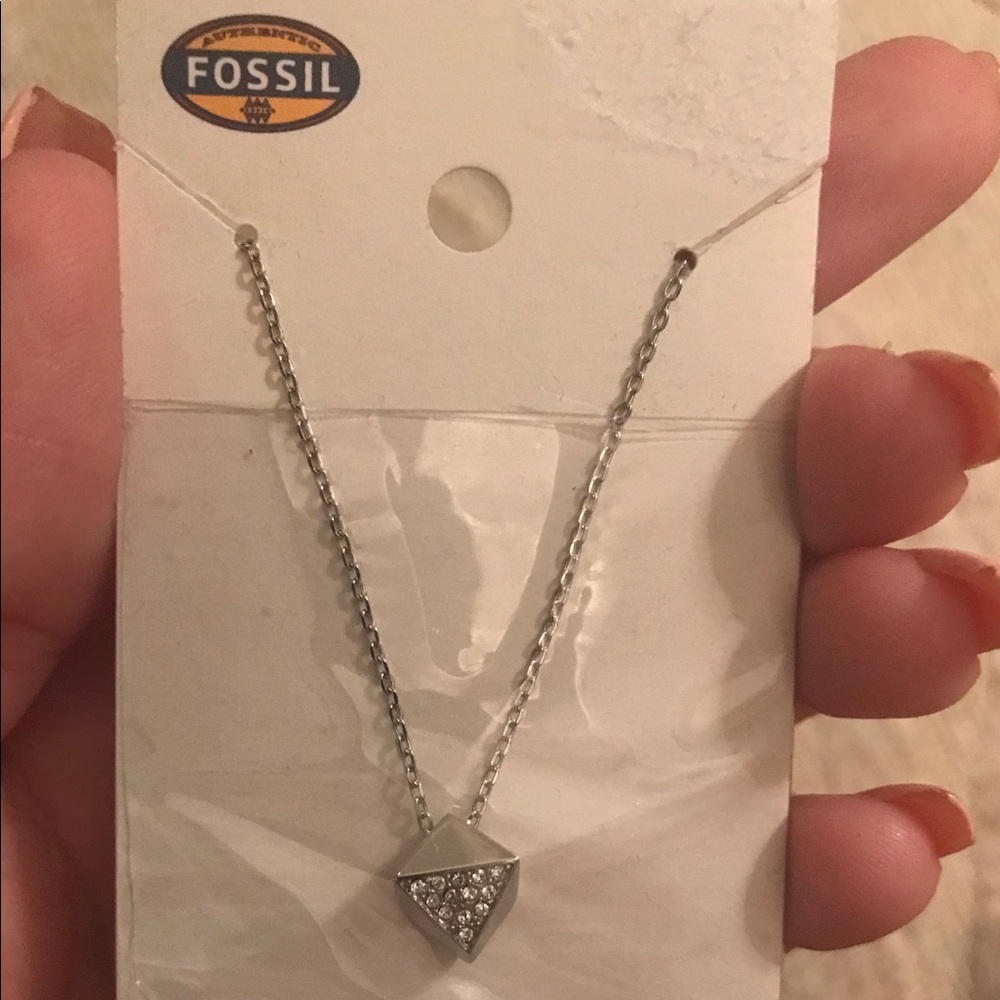 Fossil Necklace